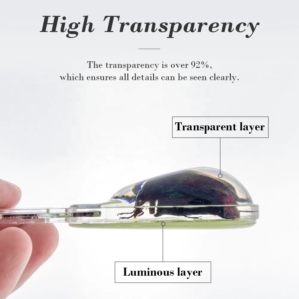 New Design Whole Sale in Bulk Glow Dark Natural Dried Beetle Insects Bugs Resin Handle Beer Bottle Opener