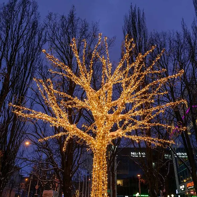 3d large led christmas gift box/polar bear/umbrella/reindeer/wing decoration led motif lights for street