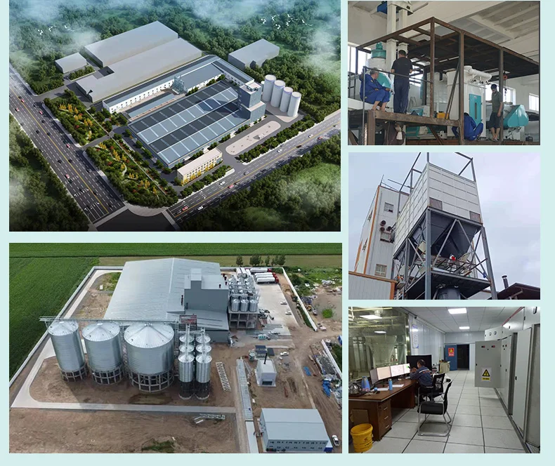 Animal food chicken feed pellet making machine animal feed milling processing machine poultry Feeds pelletizer