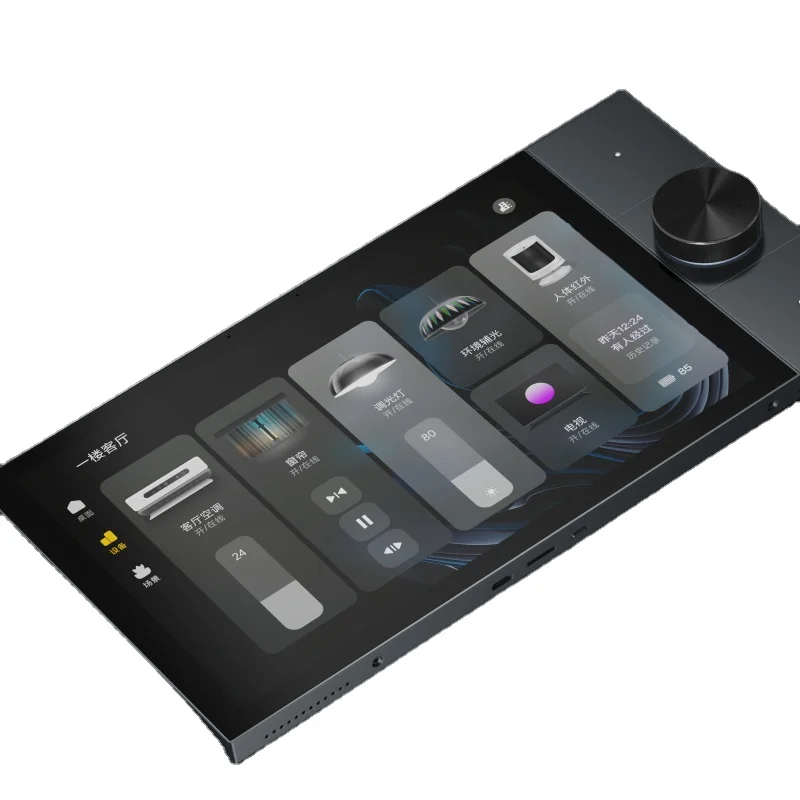 Tuya 10 Inch Central Control Panel With Music Play 2 Gang Relays 2 Way Speakers Multi-functional Smart Home