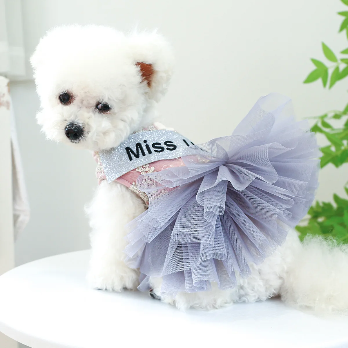 Dog Clothes Wholesale Spring Summer New Cute Tulle Skirt Qipao Princess White Peach Tulle Dress