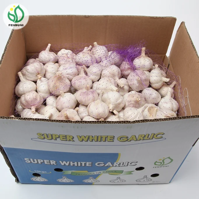 China 2021 New Crop Garlic Supplier for Bangladesh/Pakistan (20kg/bag)