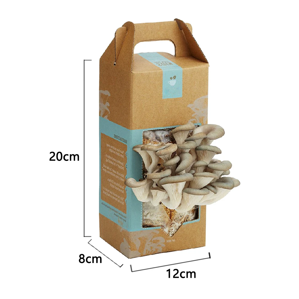 Customized fresh fruit and vegetable paper packaging materials Oyster Mushroom Grow packaging boxes