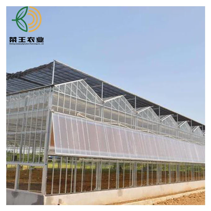  Agricultural Hydroponic Greenhouse Turnkey Project With Strong Frame