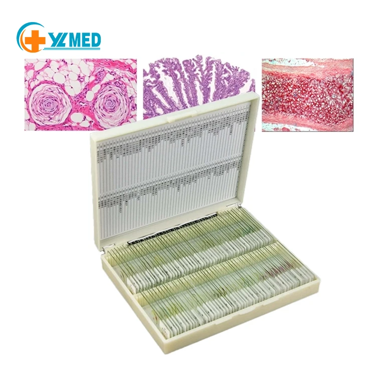 Медицинская фабрика, школьные принадлежности, транспортировка животных, циркуляционная система, слайды для подготовки микроскопа