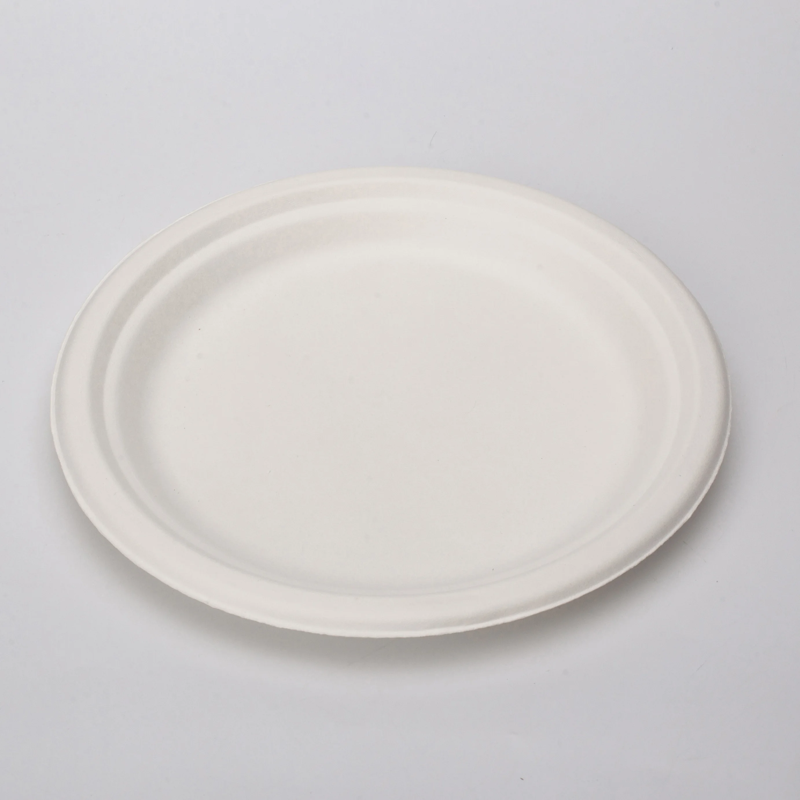 Customized Bio Degradable Disposable Sugarcane Bagasse Paper Pulp 10 inch Round Plates For Party