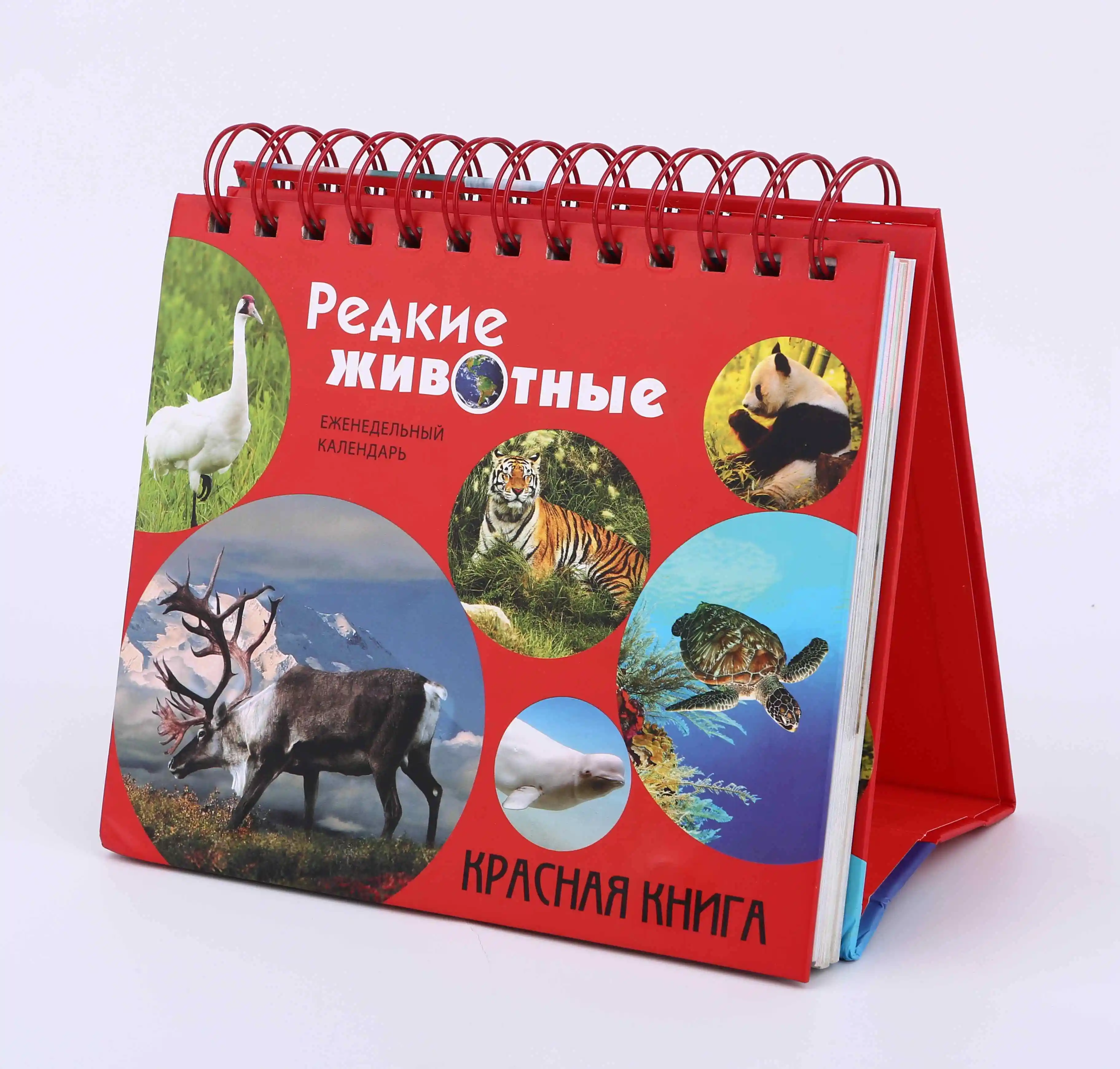 custom desk calendar printing wholesale, Offset printing OEM design spiral binding paper calendar