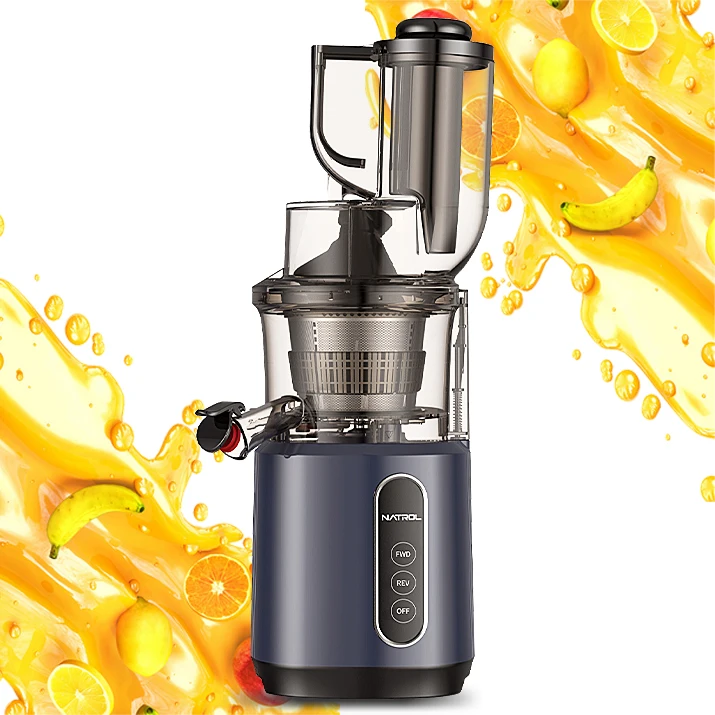 Smart Commercial Electric Masticating Juicer Best Multi-Function Slow Fruit Blender Cold Press Machine by Whole Extractor