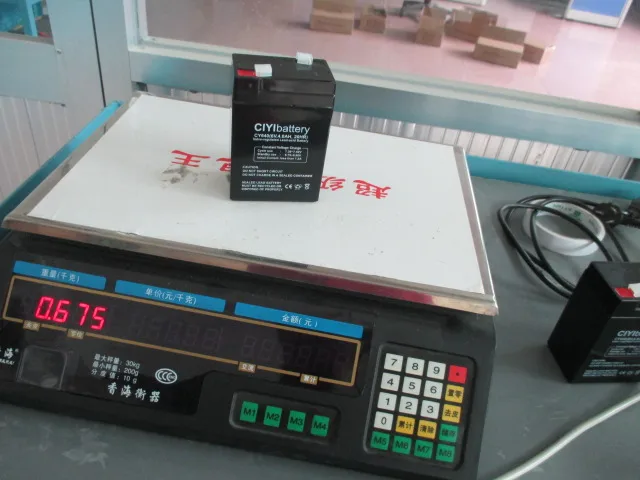 Sealed Maintenance Free Valve Regulated Battery Lead Acid Battery 6V 4AH