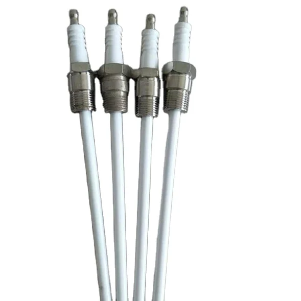 Boiler Spark Electrode Igniter/Ignition For Gas