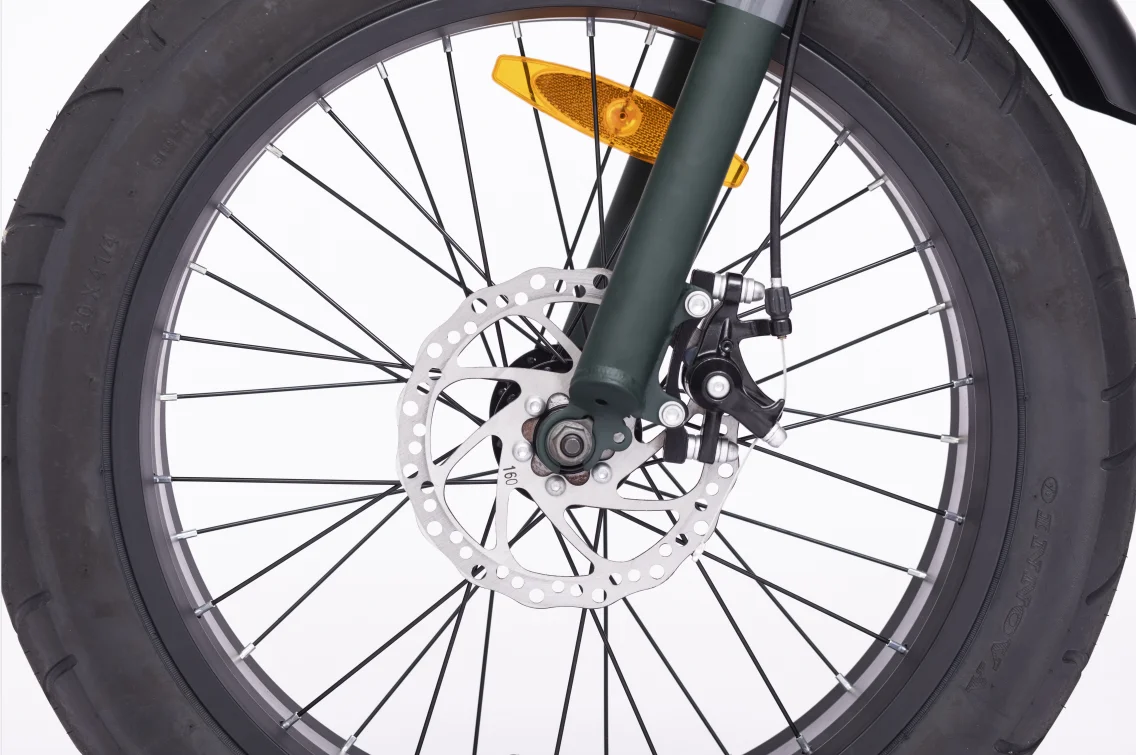 48v 500w/750w/1000w Retro Bike Rear Hub Motor 20*4.0 Inch Fat Tire Two Seat Electric Bike Moto Electrica 73 Ebike