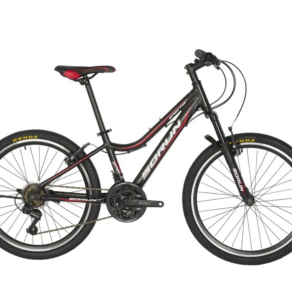 Fashion style promotion 24 inch mountain bike/mountain cycling with 24 speed