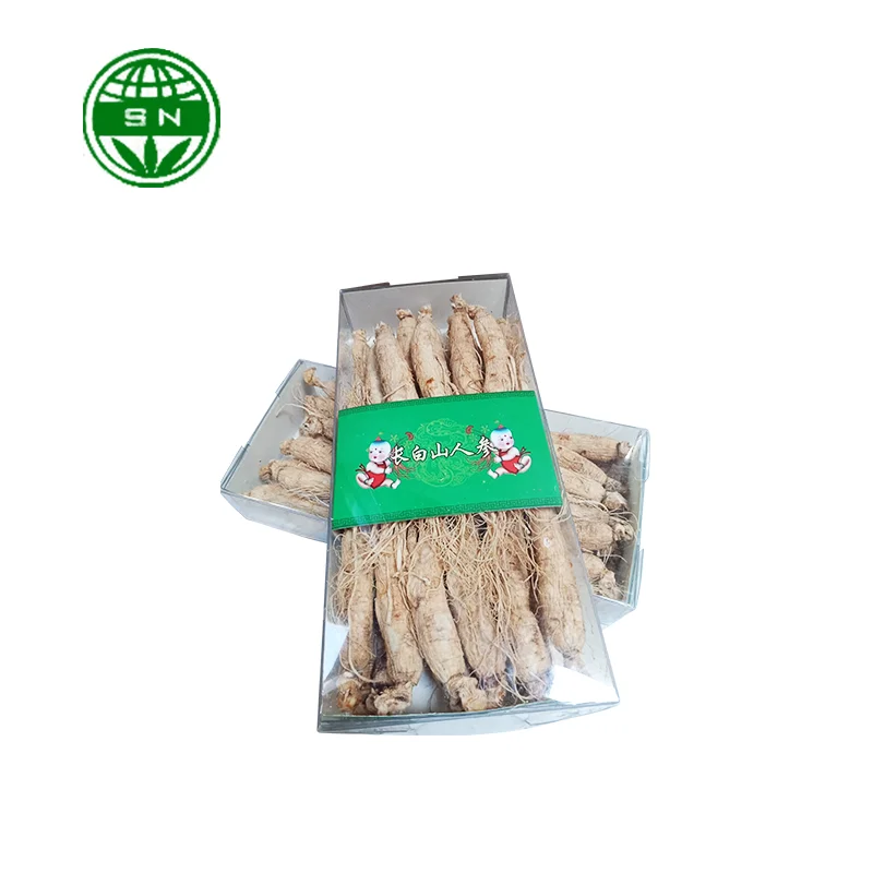 Packaged Chinese Herb Wild Plant Ginseng Root White Ginseng Root