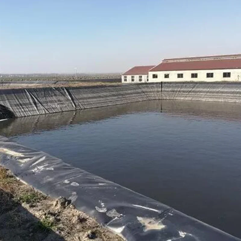 Геомембрана hdpe геомембрана 1 мм 5 для пруда с
