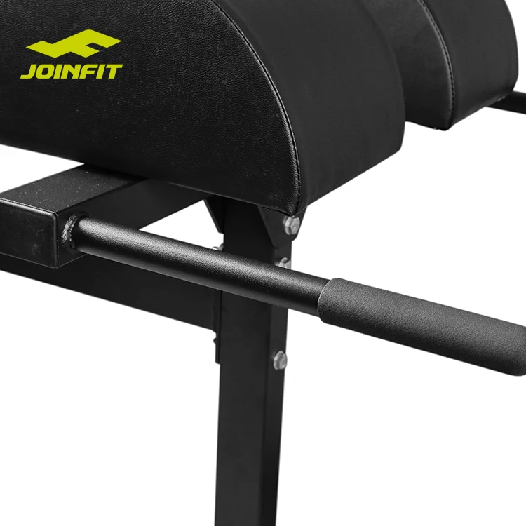 equipment adjustable roman chair