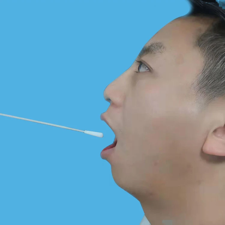 Disposable Medical Sampling Collection Swab Virus Flocked Swab Oral