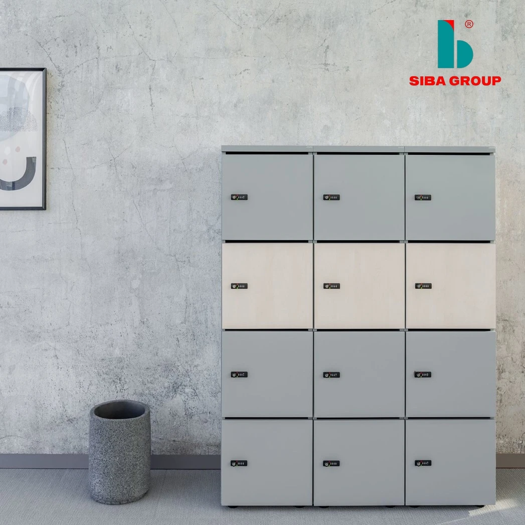 New Product 12 Compartments Storage Locker