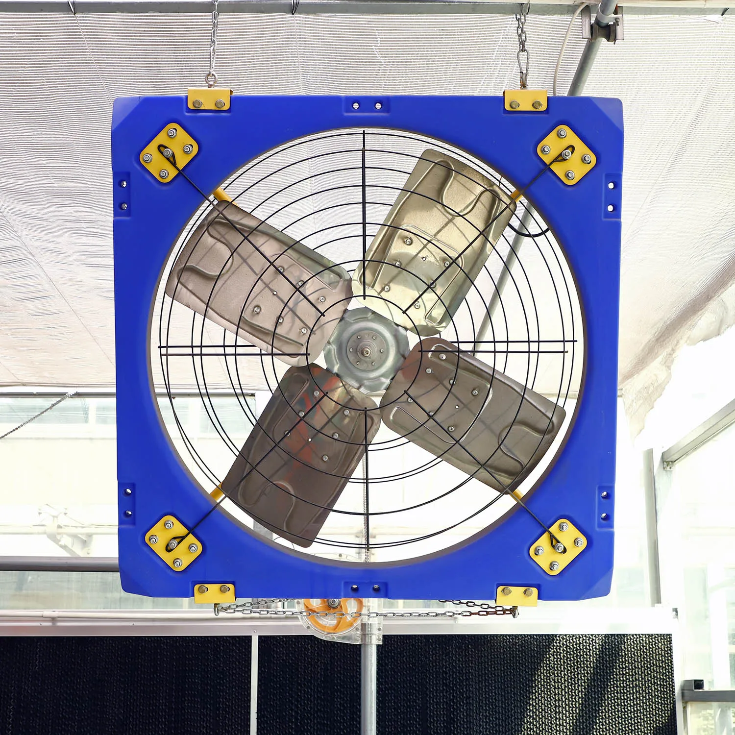 Nice quality Ceiling-Mounted Ventilation cow house hanging dairy barn Exhaust Fan /fans cow farm cooling fan
