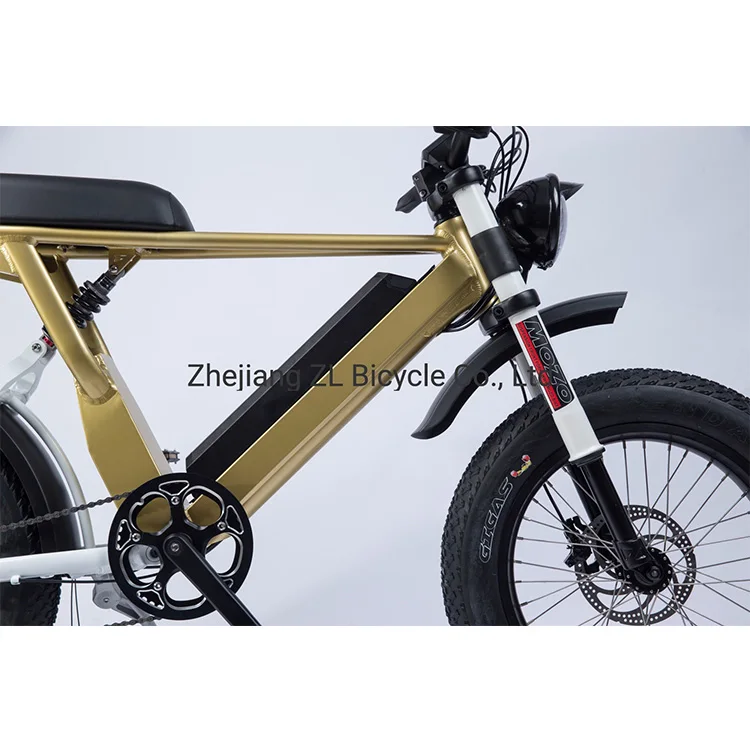  Big power Full suspension Fat Tire Dirt 48V 1000W Electric bicycle Snow Ebike