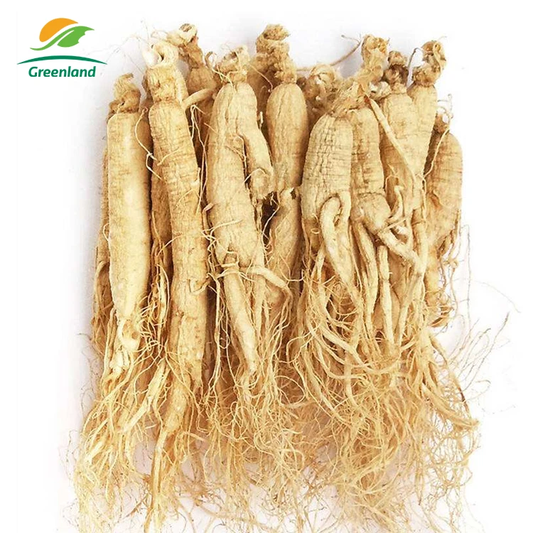 Натуральный корень Panax, женьшень Panax, порошок красного женьшеня, Корея, жидкий оральный экстракт