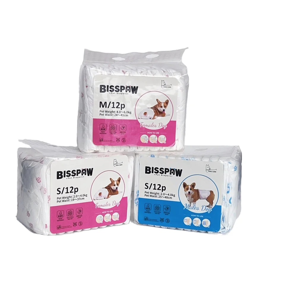 Pet Diaper M Size Disposable Dog Diaper Physiological Female Dog Nappy Technology Good Price Pet Diaper Dog Training Pee