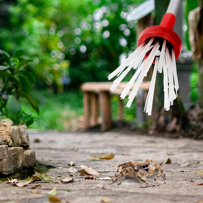 Foldable Long Handle Bug Spider Trap Catcher