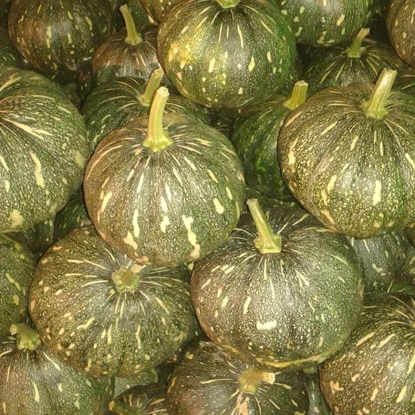 Высококачественные свежие тыквы