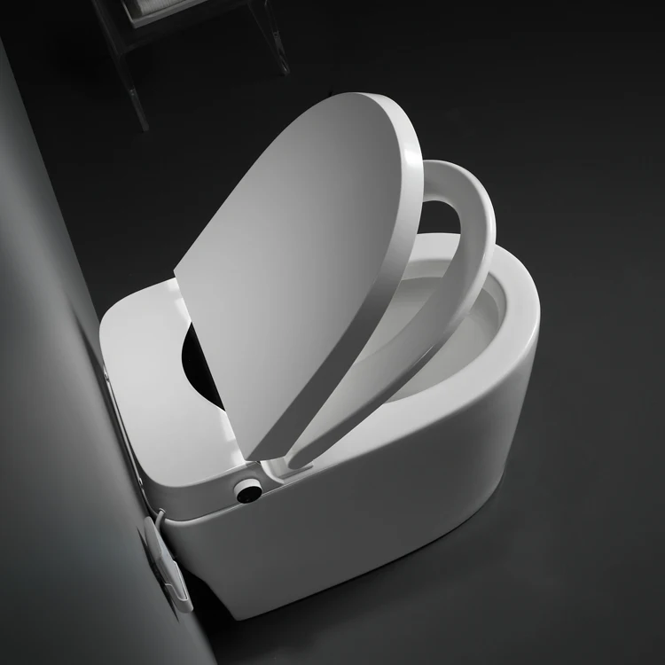 floor mounted toilet intelligent bidet