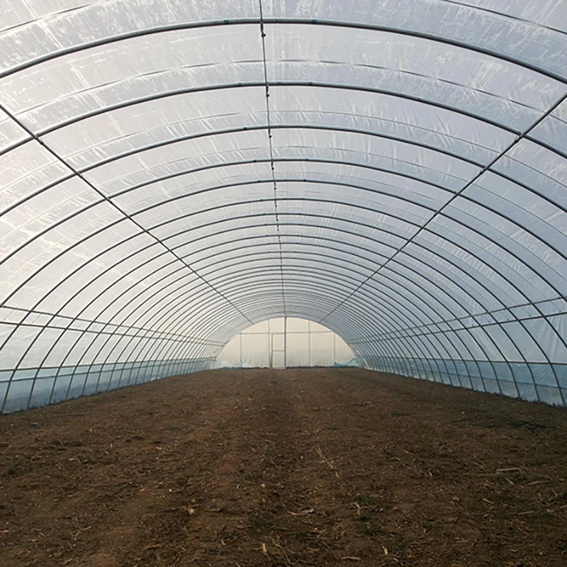 Single Span Polytunnel Tunnel Agricultural Greenhouse