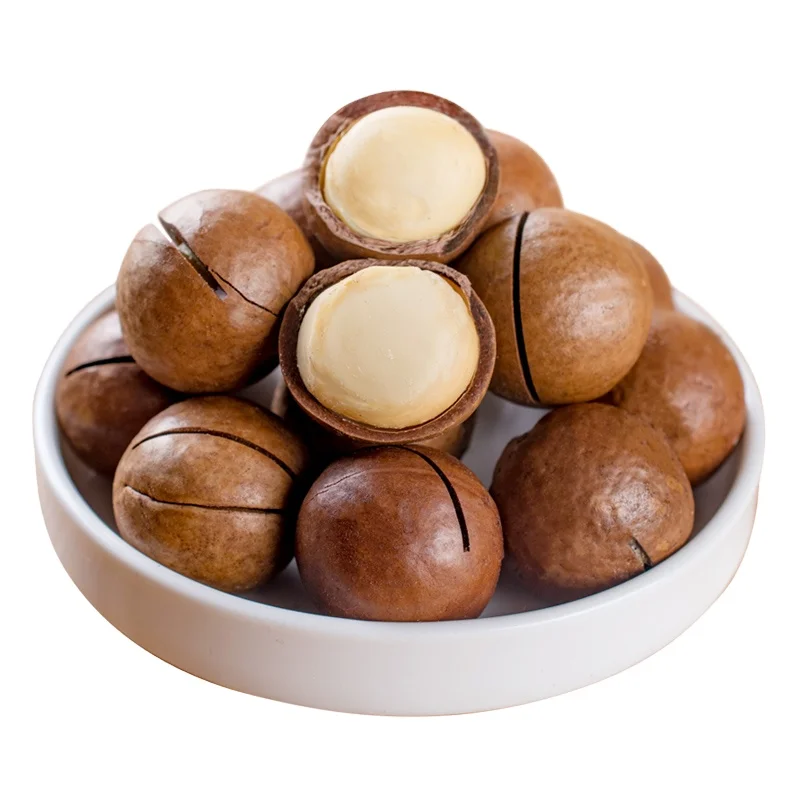 best-selling South Africa Rich nutrition Various size roasted macadamia nuts for sale