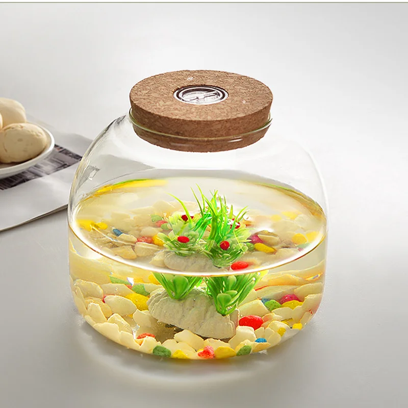 Wholesale Home Accessories Round Glass Plant Terrarium Containers With Cork Lid
