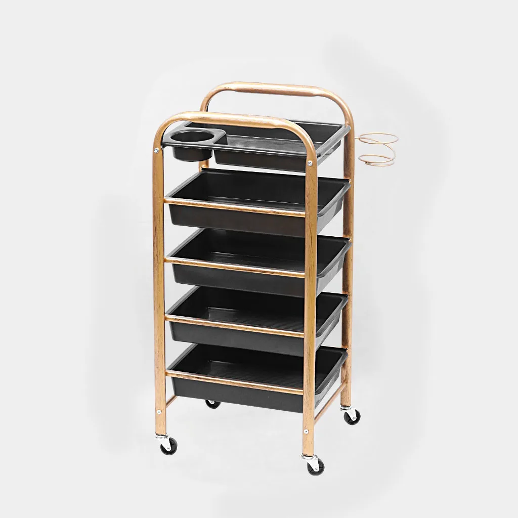 beauty salon trolley stainless steel beauty salon trolley cart trolley for nail salon barber accessories