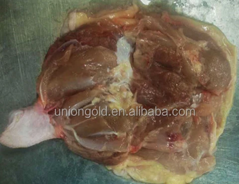 Frozen chicken leg boneless Chop