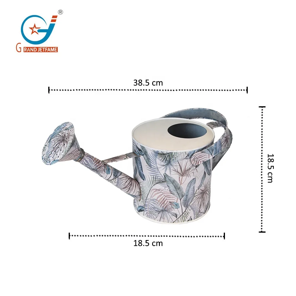 Metal Watering Can Galvanized Steel Watering Pot with Removable Spray Spout, Movable Upper Handle
