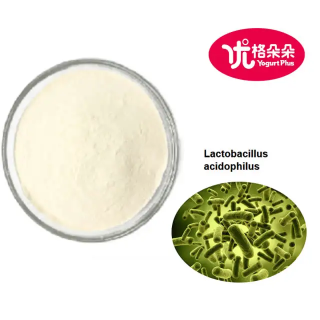 1KG Package 100 billion CFU per gram freeze-dried Lactobacillus acidophilus probiotics powder for health benefits