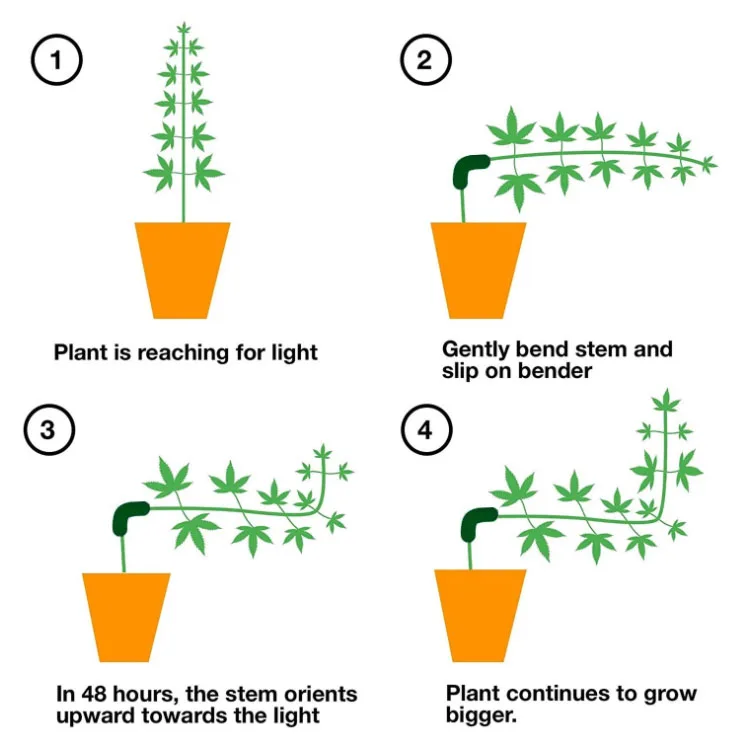 Пластмассовый гибкий тренажер для растений с низким уровнем напряжения 90 градусов