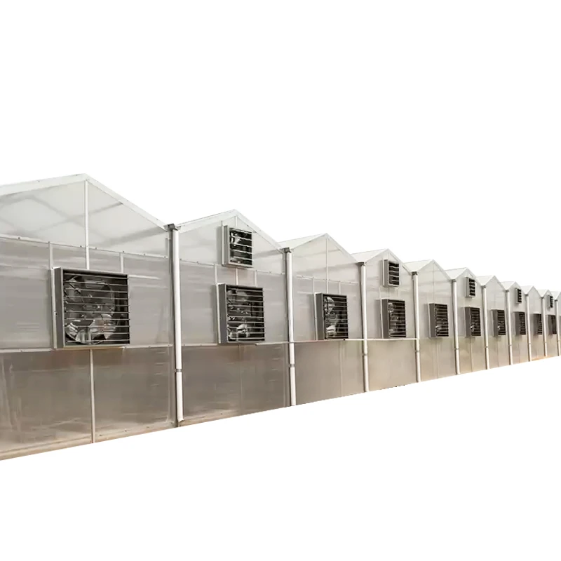 The best vegetable growing Agricultural Multi-Span polycarbonate pc sheet Greenhouse Equipment hydroponic growing systems SUNSGH greenhouse china