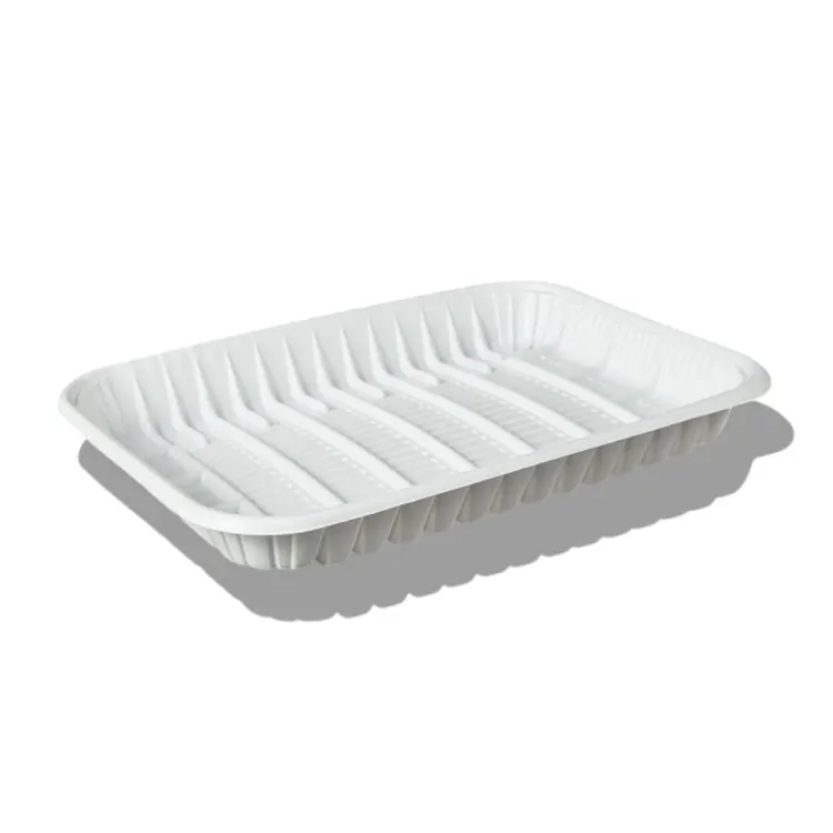 Hot sale PP packaging disposable food tray Eco-friendly Clear Blister Packaging Plastic Tray  Square Tray Packaging without Lid