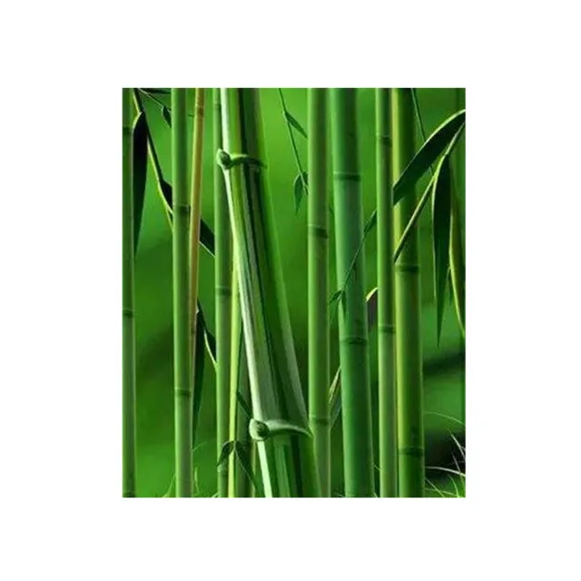 Лидер продаж, порошок бамбукового угля