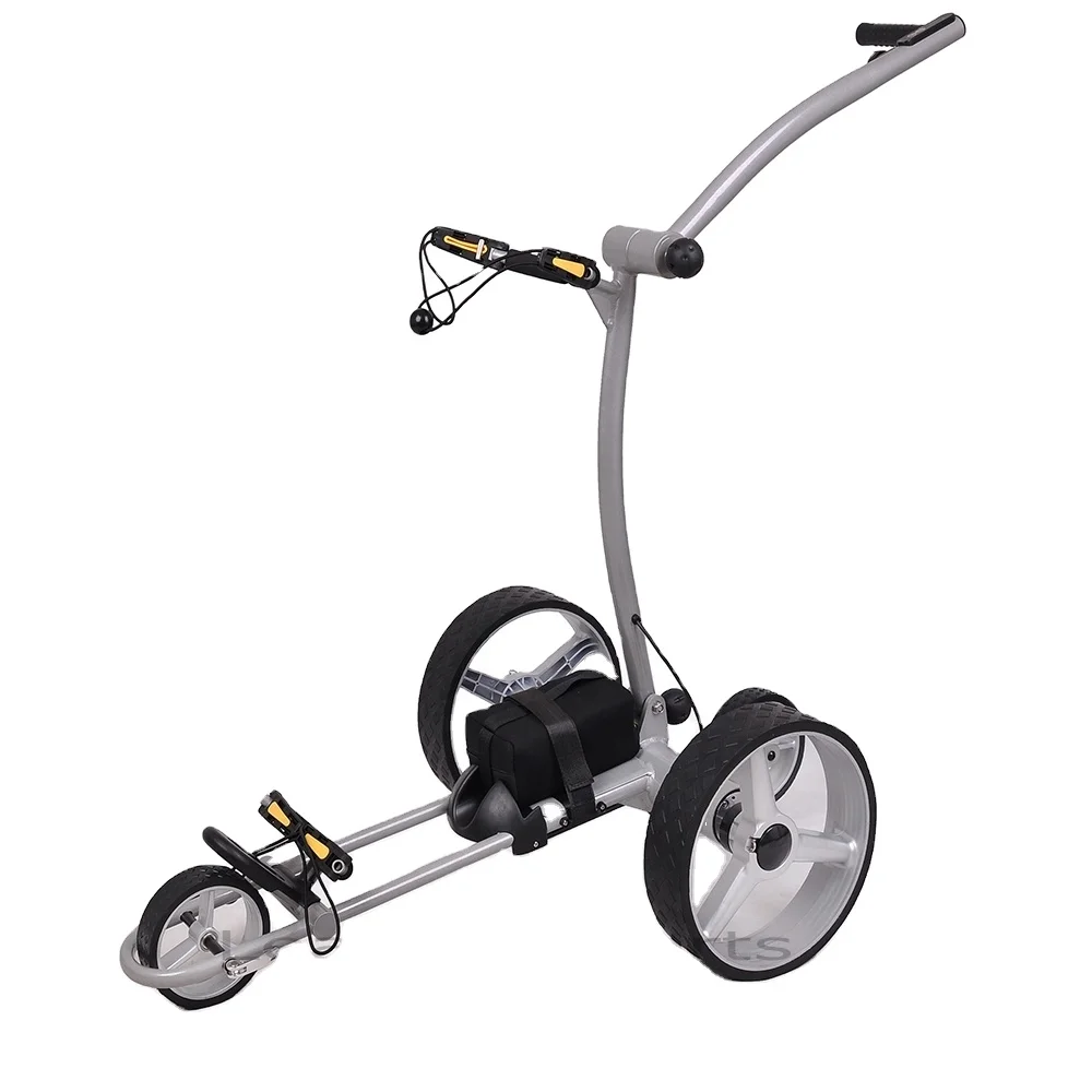 Top Sell Electric and Remote Control Golf Buggy With 18-36 Holes Battery,Lithium battery offer 24 months warranty Golf Car