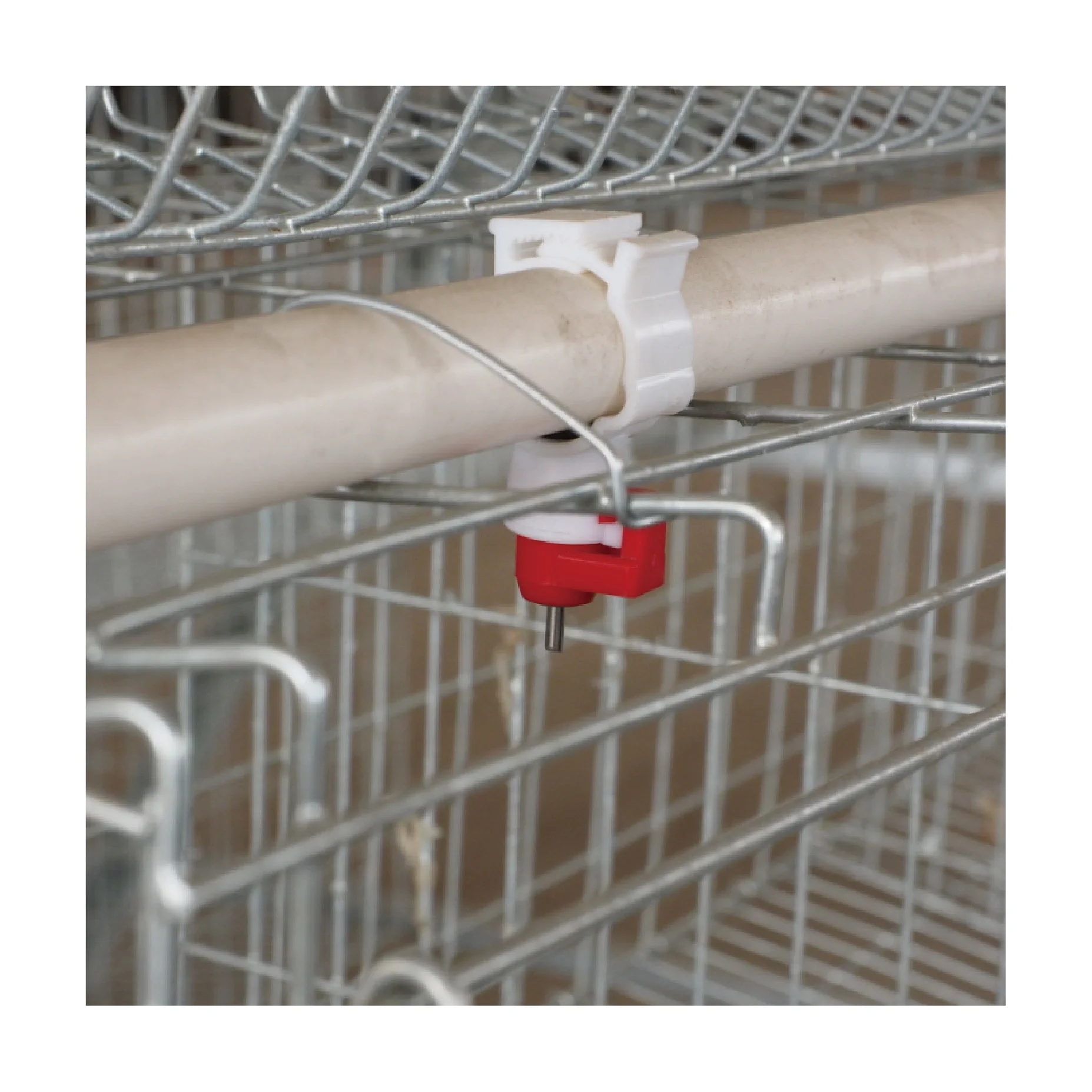 Автоматическая клетка для куриных кур