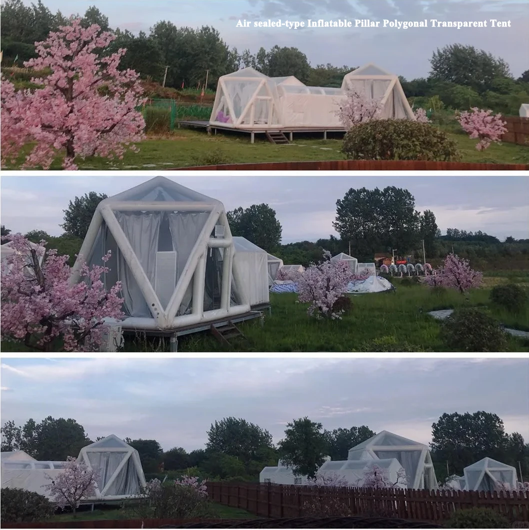 Multi Styles Inflatable Bubble Tent Bubble House Tent from China Factory