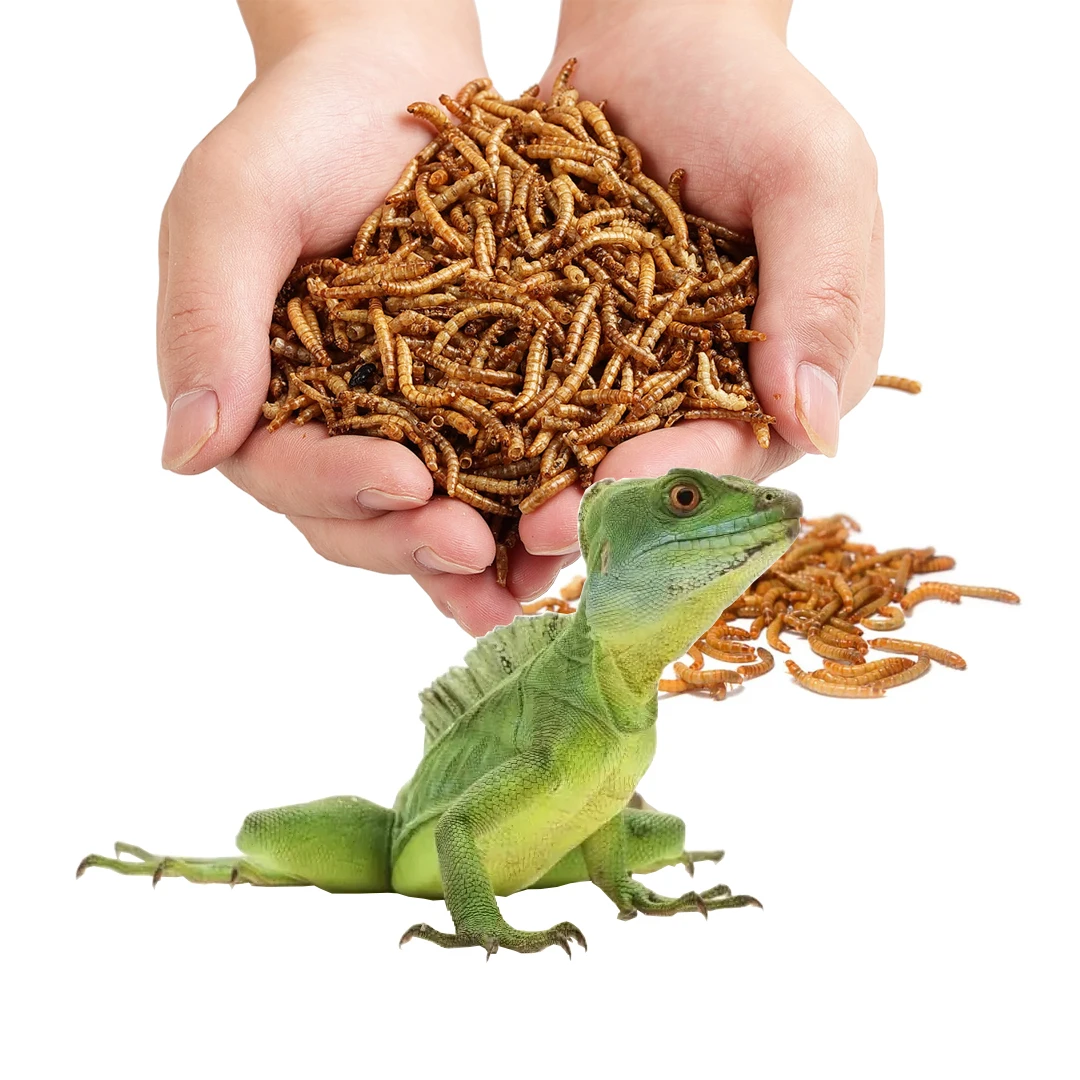 Wholesale High Quality Fish Food Dried Mealworms For Birds Snakes Lizards Amphibians Treats