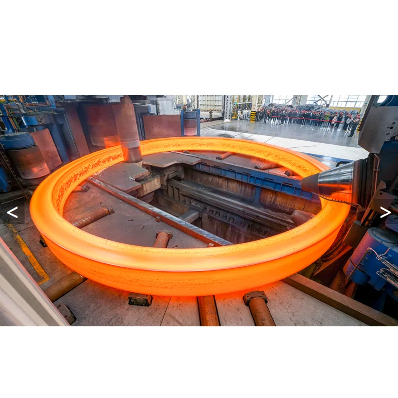 Professional manufacturer of large diameter forged flange