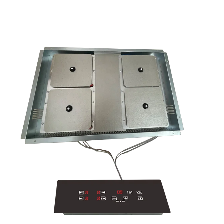 Domino Invisible-induction-hob-invisa Cook-invisible-induction-hob 220V Under Counter Invisihob Invisa Invisible Cook