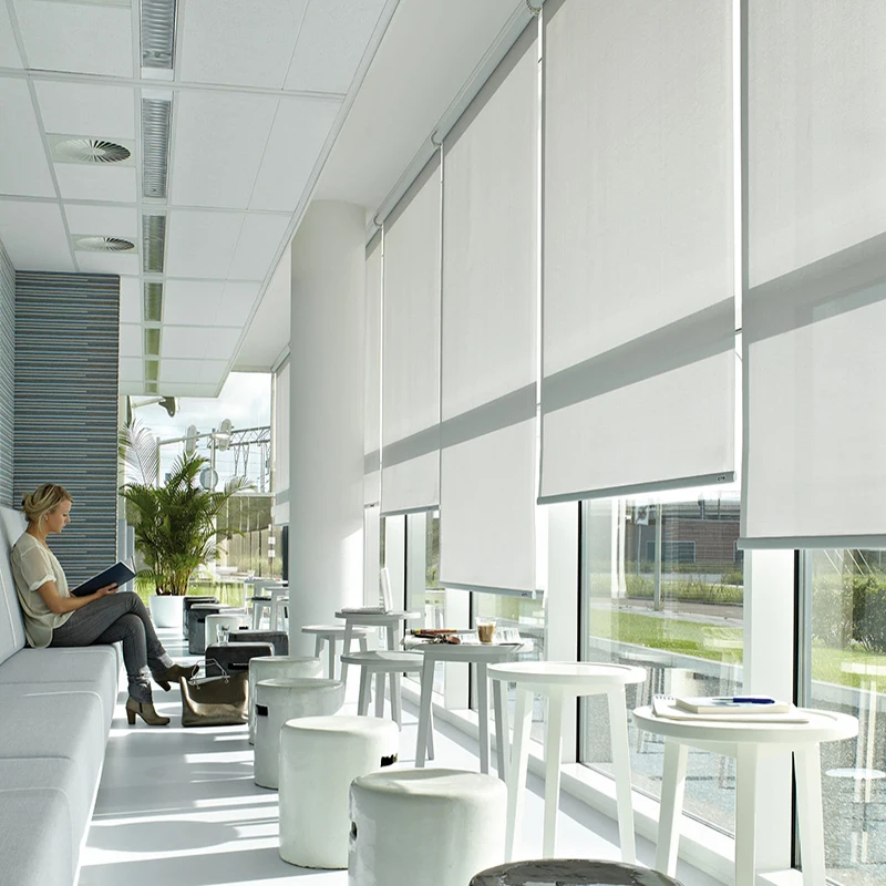 Motorized waterproof electric smart app wifi control office windows blackout roller blinds for windows