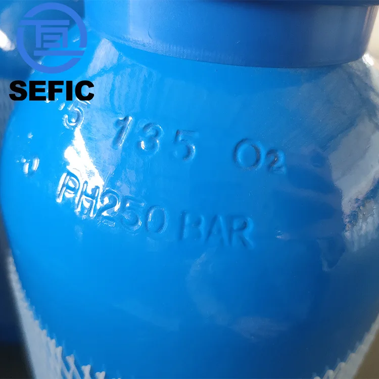 Good Quality High Pressure 5 Liters Iso9809-3 Empty Portable Oxygen For Hospital And Home Use