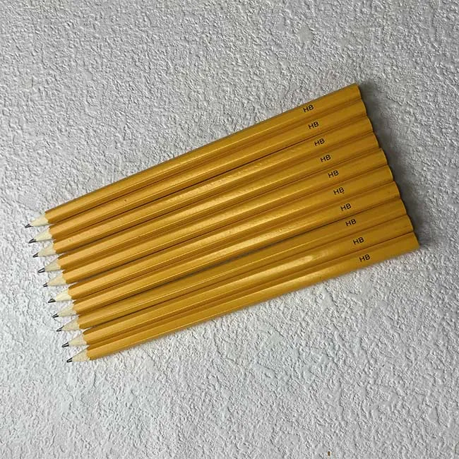 Customized Sprout Colour Pencils Forget me not Made from Certified Wood Plantable Pencil