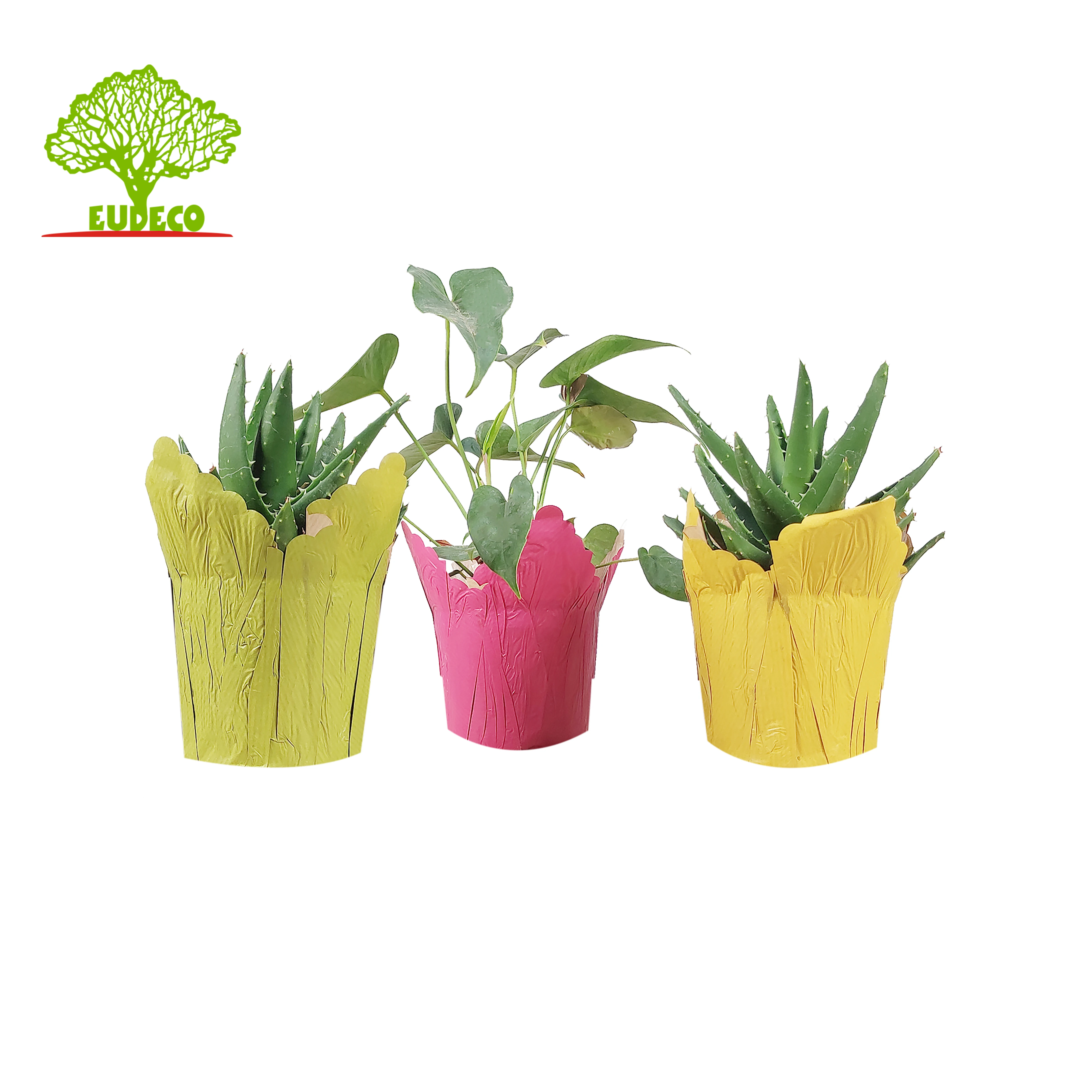 Home Decoration Potted Cover Holder Two Side Print  Kraft Paper Waterproof  Plant Pot Cover