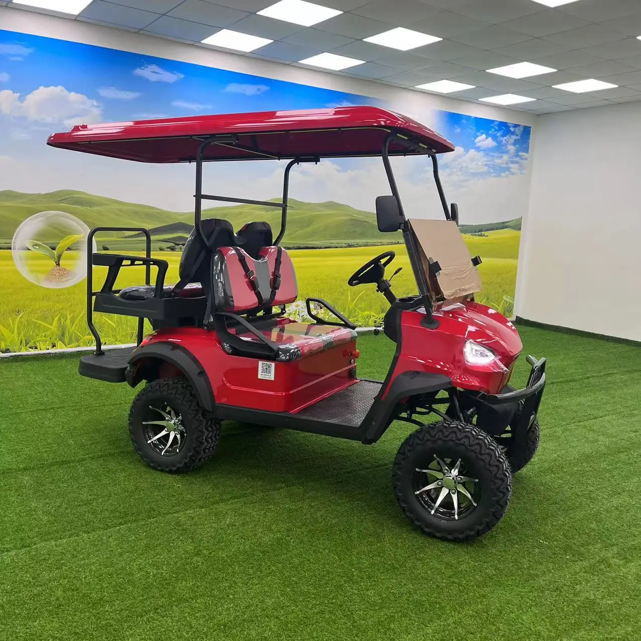 CycleGuy 110 км большой радиус действия 4 колеса на заказ внедорожник 4x4 электрическая тележка для гольфа